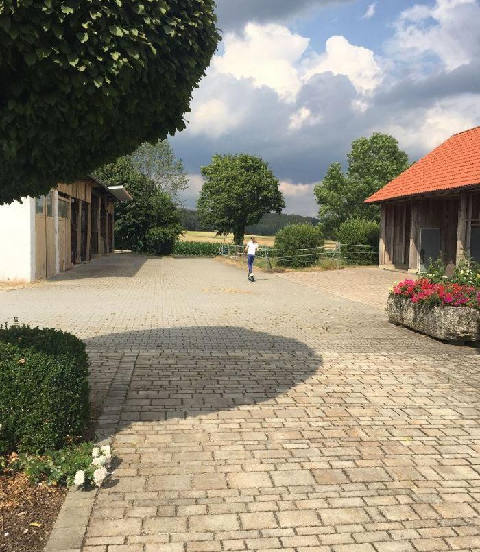 Ferienwohnung Baumgartner Ursensollen Экстерьер фото